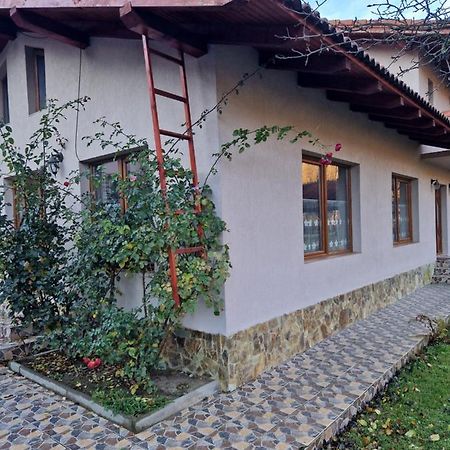 Bed and Breakfast Casa Jan Bonca Lorau Экстерьер фото