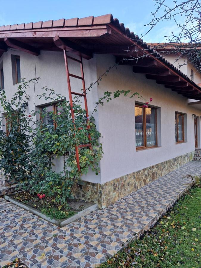 Bed and Breakfast Casa Jan Bonca Lorau Экстерьер фото